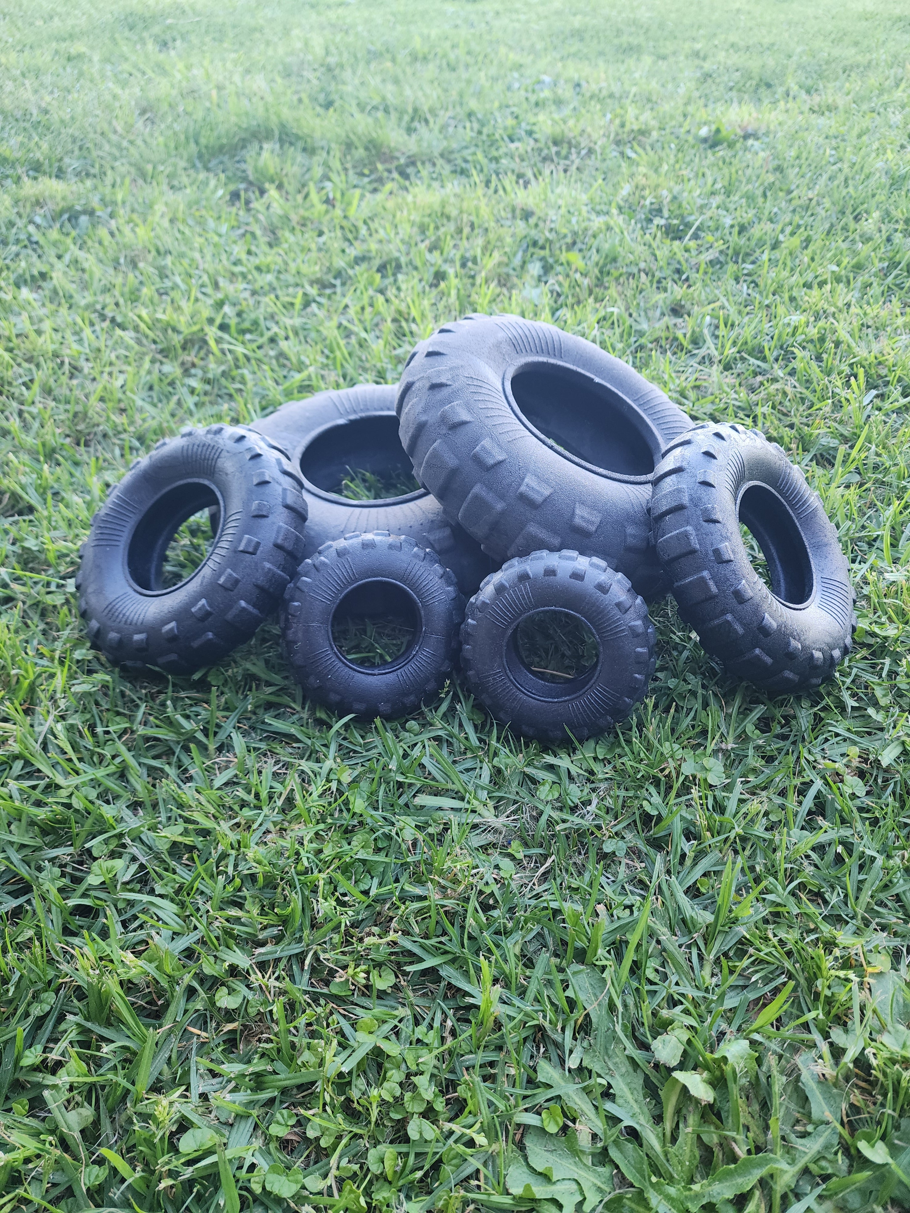 The Whistler Tough Tyre Toy for Dogs